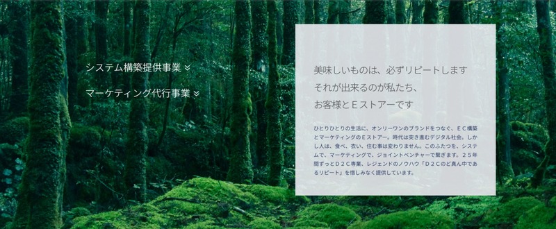 株式会社Eストアーのトップページ